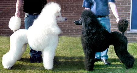 THOMAS AND HOLLY MAY 2005