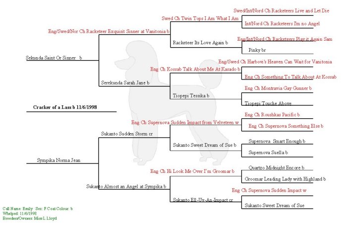 Emily's Pedigree