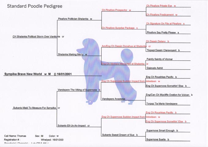 Thomas's Pedigree